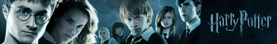 Harry Potter Harry Potter